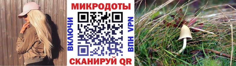 Псилоцибиновые грибы мицелий  хочу   Череповец 